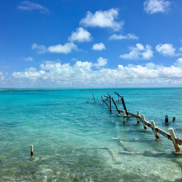 Meet your Posher, Julia - Picture 5 of 8